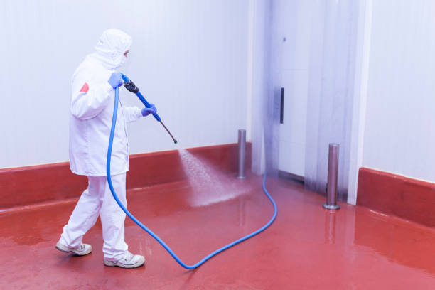 Reliable Poteet, TX Pressure Washing Solutions